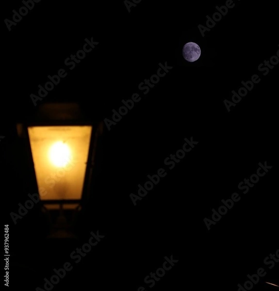 Obraz Lanterna & Luna 