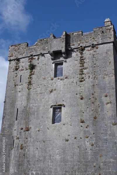 Fototapeta Dunguaire Castle 6