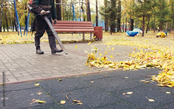 Obraz Worker cleaning playground in the autumn park from dead leaves with a blower