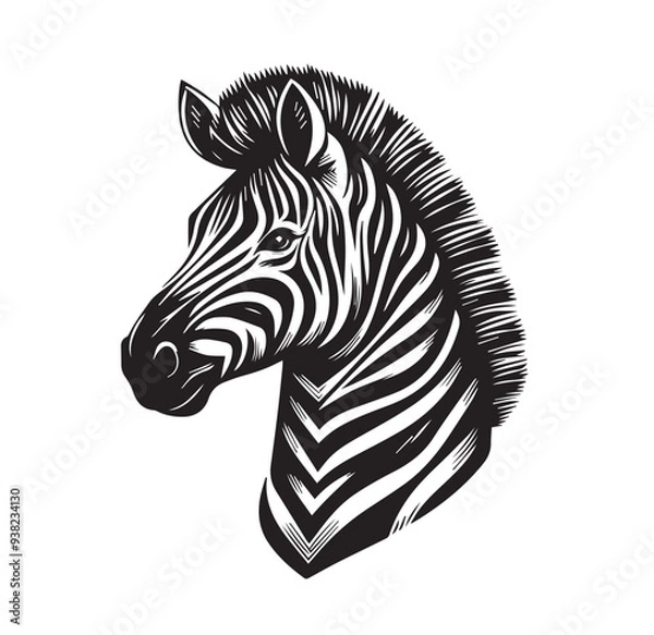 Fototapeta zebra vector illustration