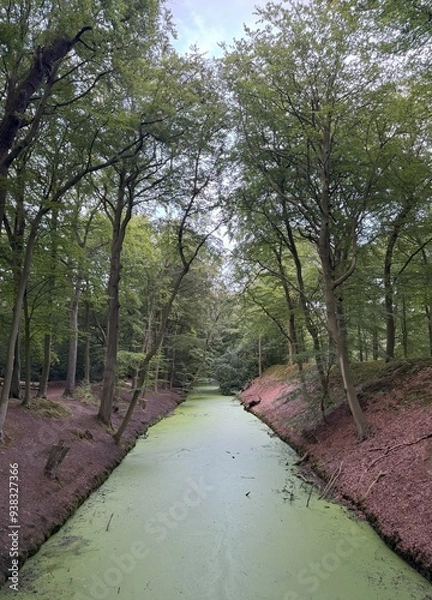 Obraz The river in the park