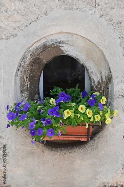 Obraz Fiori sul davanzale