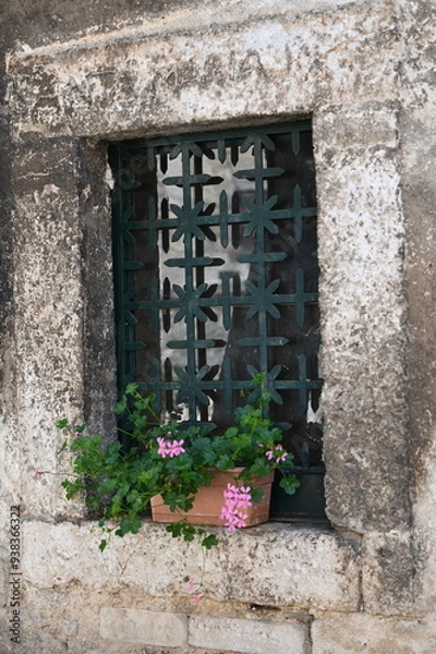 Obraz Fiori sul davanzale