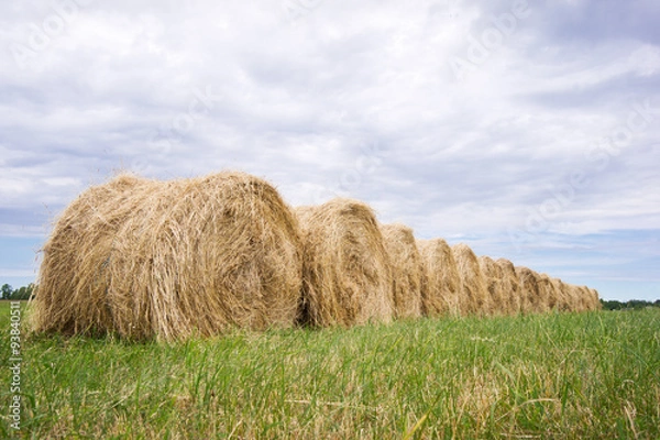 Fototapeta Hay balls in the grass under a cloudy sky