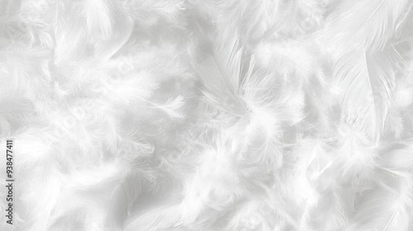 Fototapeta soft down feather texture in pure white