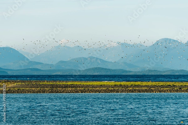 Fototapeta landscape with mountains