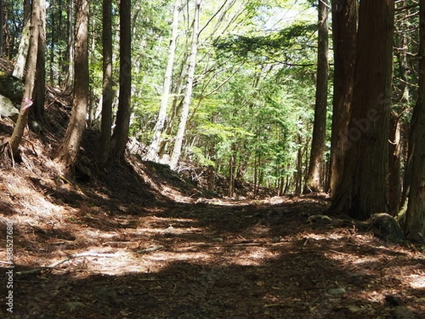 Obraz 本社カ丸の山道