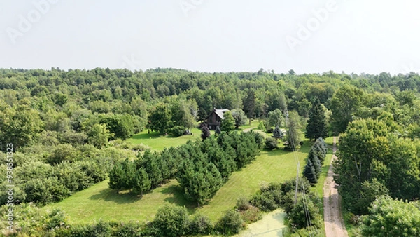 Obraz house in the countryside