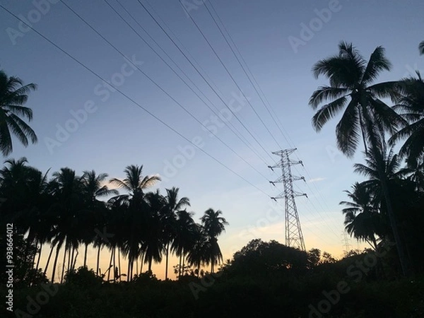 Obraz Palm Trees Silhouette Against a Sunset Sky with Power Lines. A silhouette of palm trees against a sunset sky with power lines in the distance. The sun is setting, casting a warm glow over the scene. T