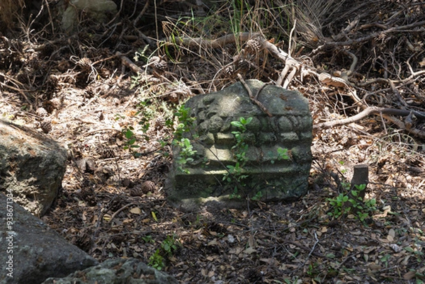 Fototapeta Fragment  of the pillar decorated with stone carvings in synagogue from 1st 2nd centuries AD near Beit Shearim necropolis near Kiryat Tivon city in northern Israel