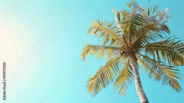 Fototapeta A majestic coconut palm tree swaying gently in the breeze, its fronds reaching towards the clear blue sky.