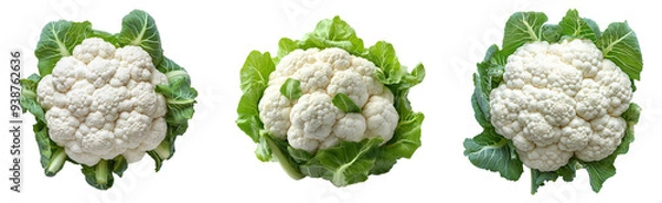 Fototapeta Cauliflower vegetable set png. set of cauliflowers top view png. Autumn fall harvest of green organic cauliflower vegetable png. Vegan vegetarian options