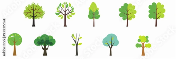 Fototapeta A collection of trees in various sizes and shapes