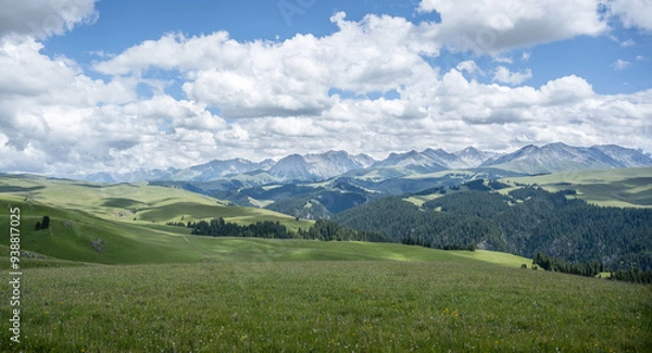 Fototapeta Karajun Grassland in Xinjiang, China during Summer