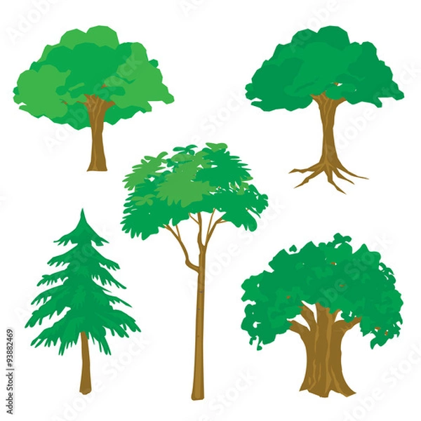 Obraz Tree Nature Green Cartoon Vector