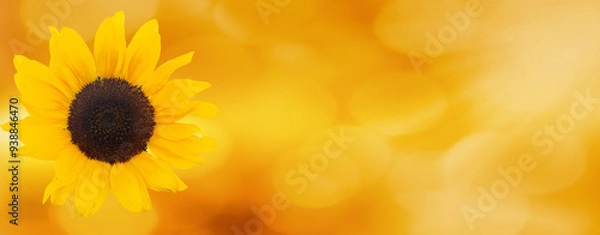 Obraz Sunflower on yellow background.