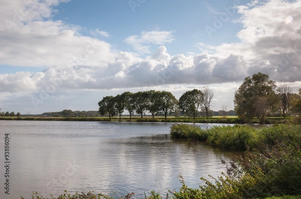 Fototapeta Small lake with a row of trees