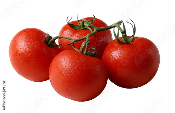 Obraz pomidor