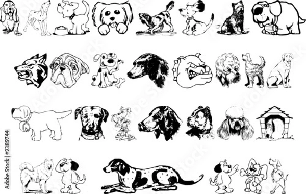 Obraz Dogs and Doggies