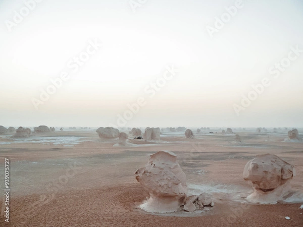 Fototapeta The White Desert which is part of the Farafra depression in the Sahara Desert.