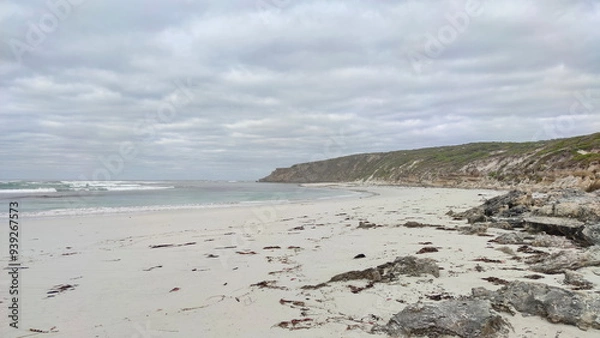 Fototapeta Coastal landscape of the Kangaroo Island