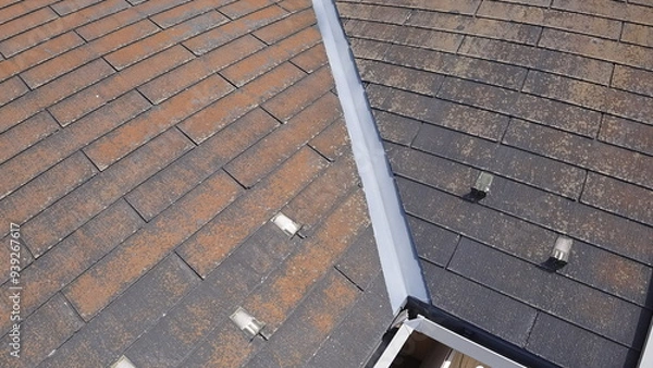 Obraz 劣化した屋根