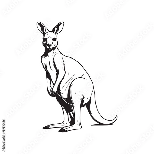 Fototapeta Kangaroo line art vector silhouette with white Background
