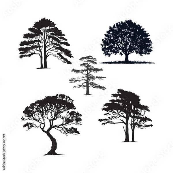 Obraz Timeless Tree Silhouette.