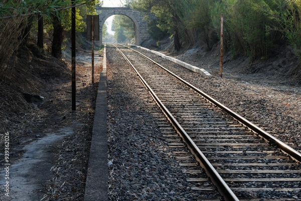 Fototapeta Hermoso paisaje de la vía ferroviaria que une Alcoy con Valencia en la pequeña y turistica localidad de Agres, España