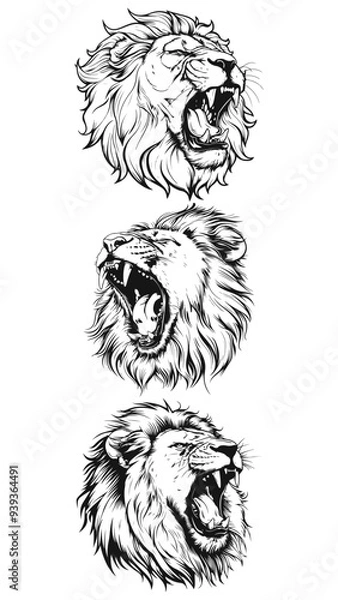 Fototapeta Lion Head Vector Set