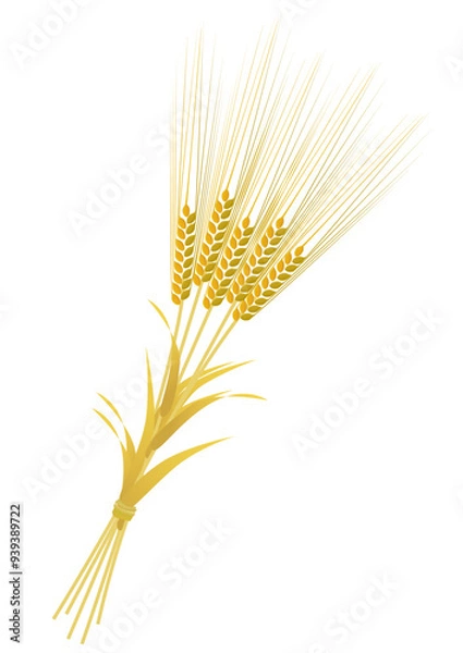 Obraz Bundle of barley with golden ears