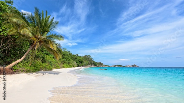 Fototapeta Beautiful landscape of blue sky coconut sea sand and waves on the beach during summer at Koh Miang island in Mu Ko Similan National Park, Phang Nga province, Thailand, 16:9 widescreen