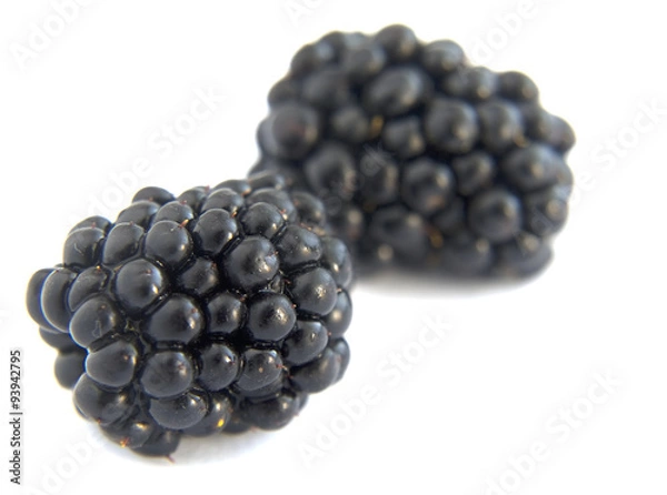 Obraz blackberries