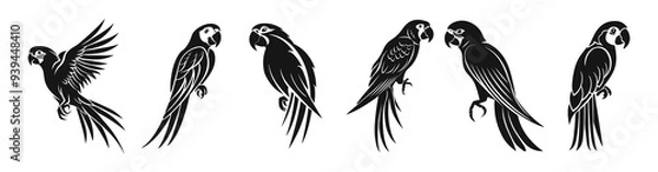 Fototapeta parrots vector set