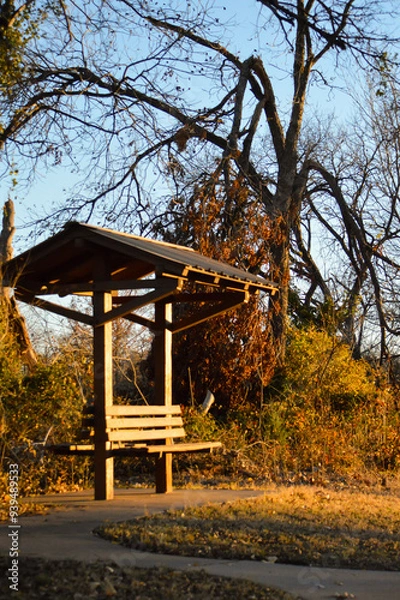 Fototapeta Bench in trees