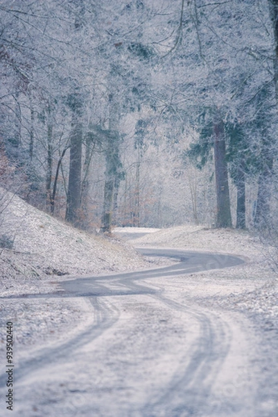 Fototapeta Winter landscape with a road leading into the snowy forest. Weather, transport, travel concept.