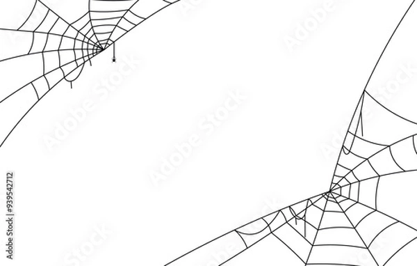 Fototapeta spider web halloween background, scary spider and cobweb on white background