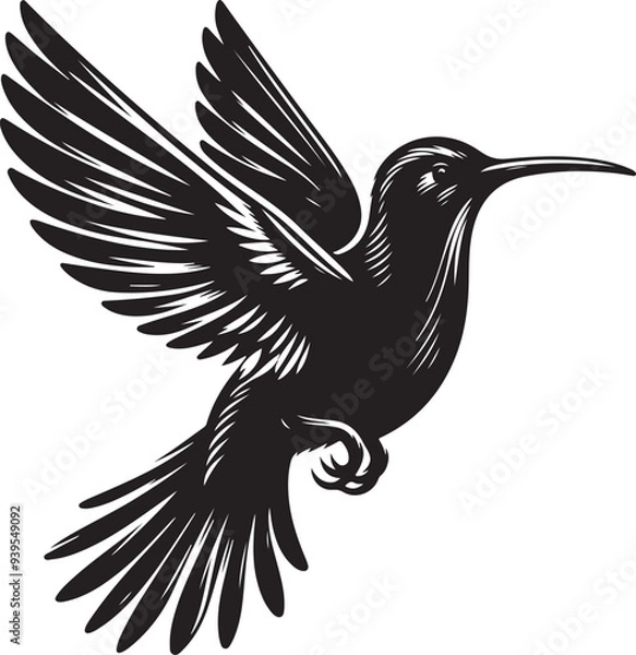 Obraz Colibri Black Silhouette Vector Illustration