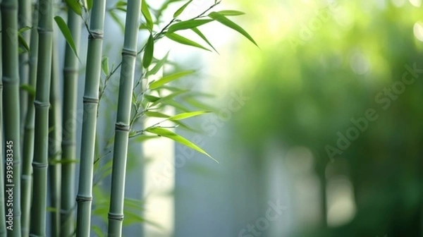 Fototapeta elegant bamboo stalks arranged vertically against a serene, minimalistic background, evoking natural harmony. 