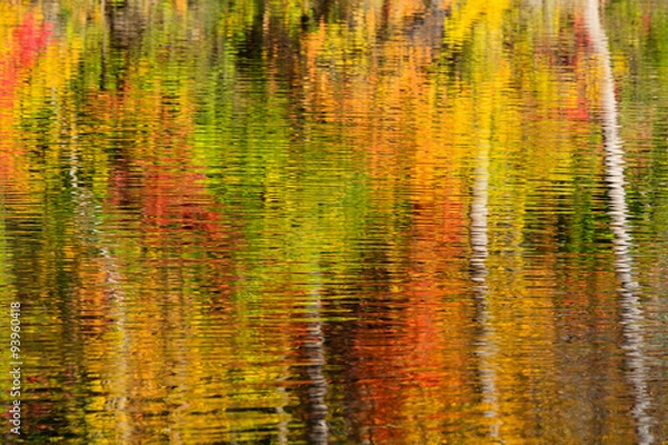 Fototapeta Abstract of fall color reflections