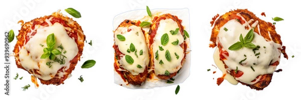 Fototapeta Set of baked chicken parmesan isolated on a transparent background