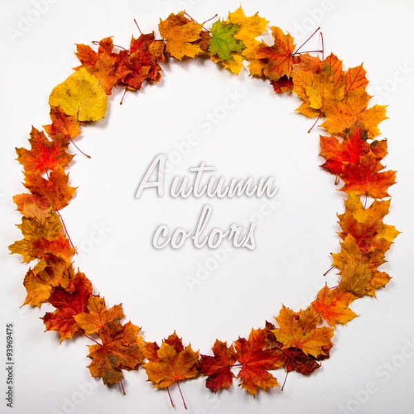 Obraz Autumn leaves round frame