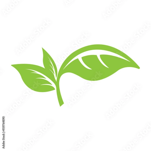 Obraz green tea leaf icon vector illustration design template