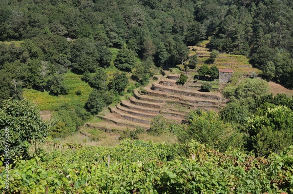 Fototapeta Terraces