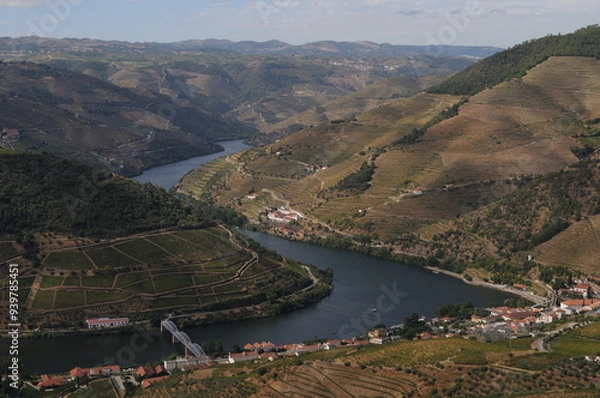 Fototapeta Douro Valley