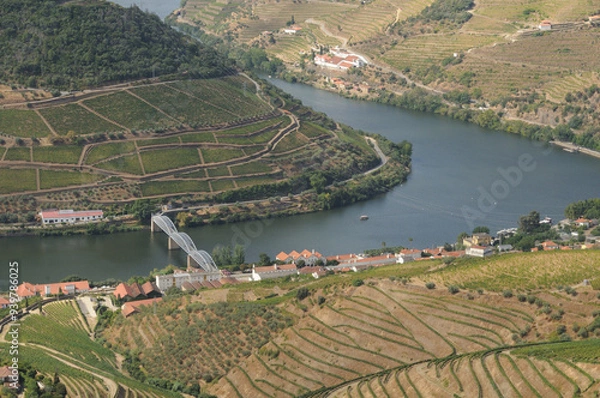 Fototapeta Douro Valley