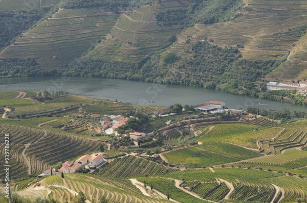 Fototapeta Douro Valley