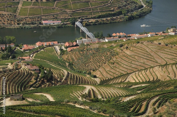 Fototapeta Douro Valley