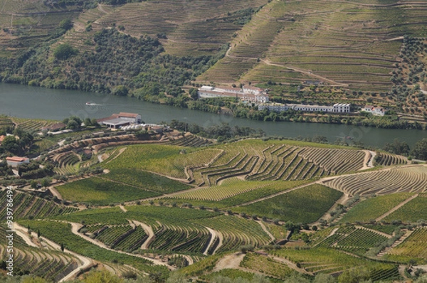 Fototapeta Douro Valley