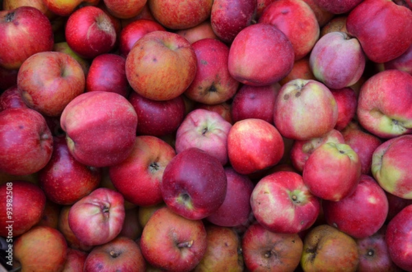 Fototapeta Äpfel